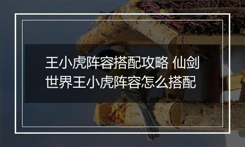 王小虎阵容搭配攻略 仙剑世界王小虎阵容怎么搭配