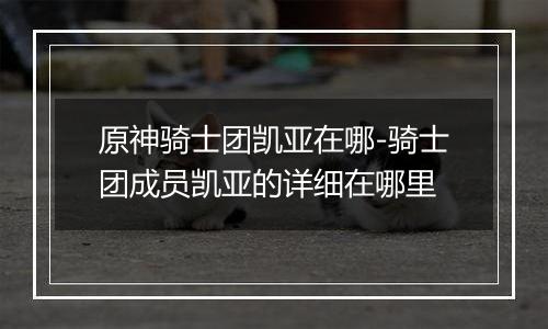 原神骑士团凯亚在哪-骑士团成员凯亚的详细在哪里