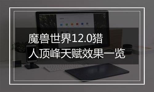 魔兽世界12.0猎人顶峰天赋效果一览