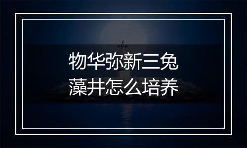 物华弥新三兔藻井怎么培养