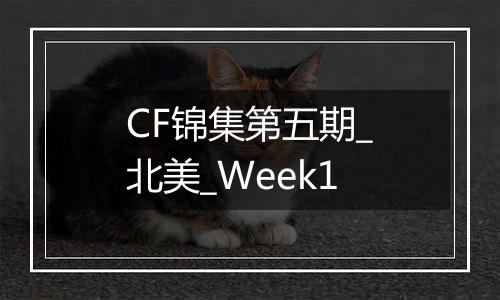 CF锦集第五期_北美_Week1