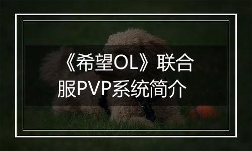 《希望OL》联合服PVP系统简介