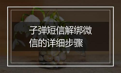 子弹短信解绑微信的详细步骤