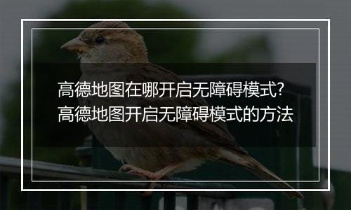 高德地图在哪开启无障碍模式?高德地图开启无障碍模式的方法