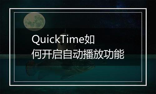 QuickTime如何开启自动播放功能