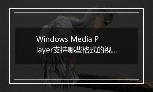 Windows Media Player支持哪些格式的视频？（详解）