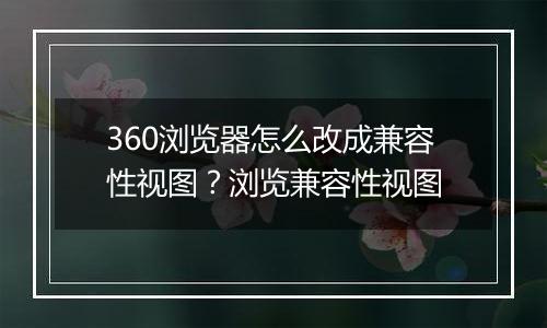 360浏览器怎么改成兼容性视图？浏览兼容性视图