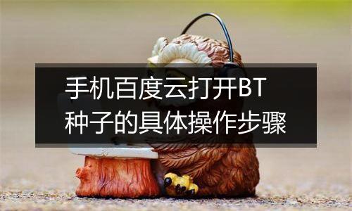 手机百度云打开BT种子的具体操作步骤