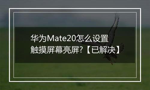 华为Mate20怎么设置触摸屏幕亮屏?【已解决】