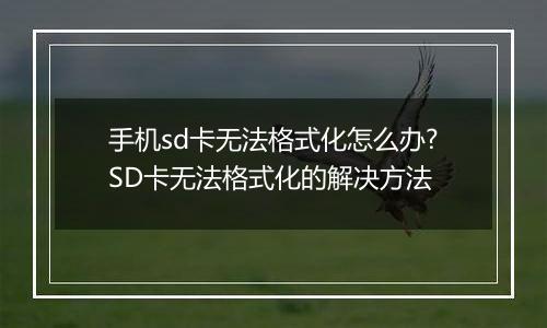 手机sd卡无法格式化怎么办?SD卡无法格式化的解决方法