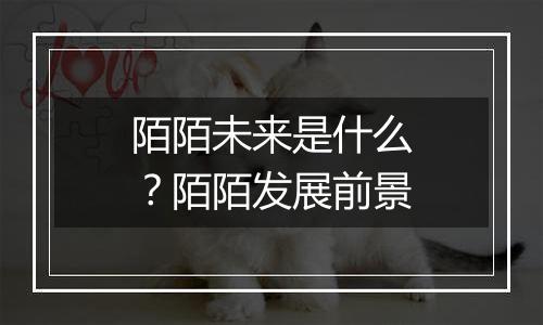 陌陌未来是什么？陌陌发展前景