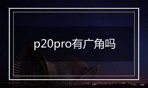 p20pro有广角吗