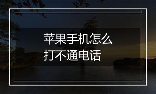 苹果手机怎么打不通电话