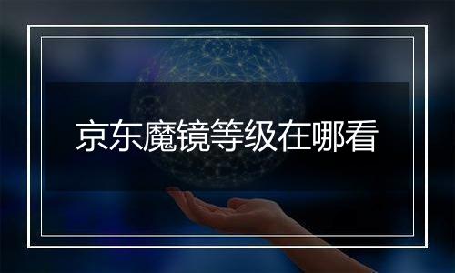 京东魔镜等级在哪看