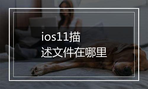 ios11描述文件在哪里