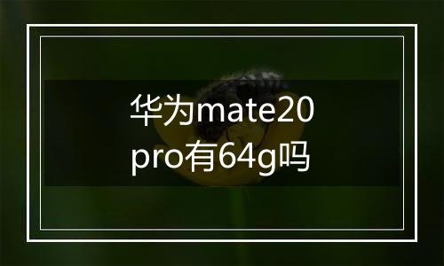 华为mate20pro有64g吗
