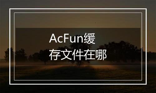 AcFun缓存文件在哪
