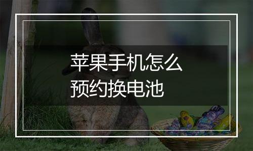 苹果手机怎么预约换电池