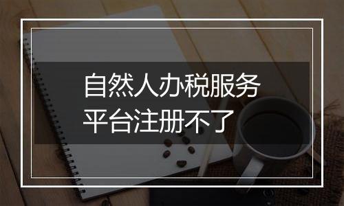 自然人办税服务平台注册不了