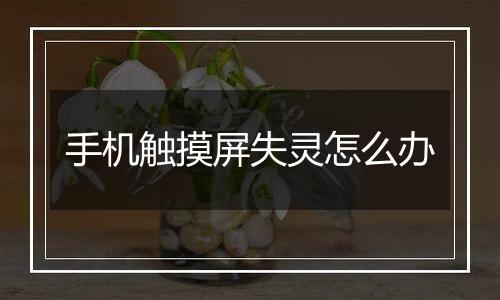 手机触摸屏失灵怎么办