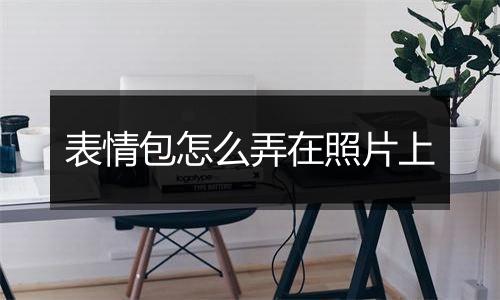 表情包怎么弄在照片上