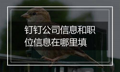 钉钉公司信息和职位信息在哪里填