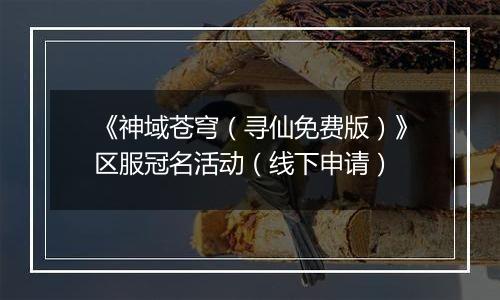 《神域苍穹（寻仙免费版）》区服冠名活动（线下申请）