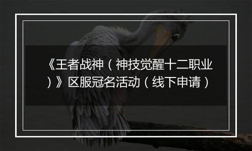 《王者战神（神技觉醒十二职业）》区服冠名活动（线下申请）