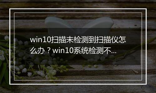 win10扫描未检测到扫描仪怎么办？win10系统检测不到扫描仪的解决方法