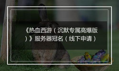 《热血西游（沉默专属高爆版）》服务器冠名（线下申请）