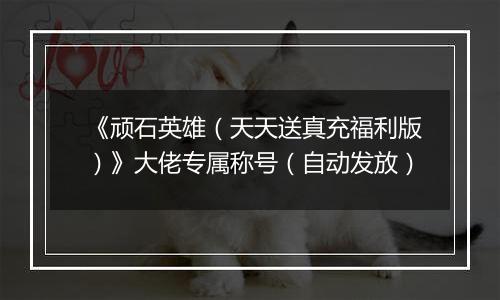 《顽石英雄（天天送真充福利版）》大佬专属称号（自动发放）