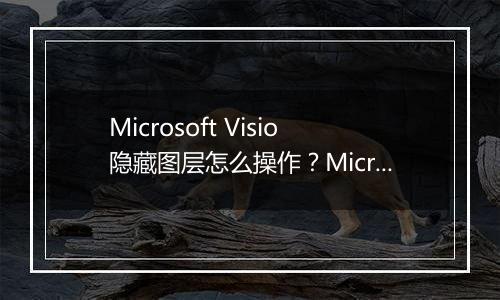 Microsoft Visio隐藏图层怎么操作？Microsoft Visio隐藏图层具体教程