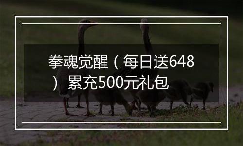 拳魂觉醒（每日送648） 累充500元礼包