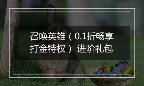 召唤英雄（0.1折畅享打金特权） 进阶礼包