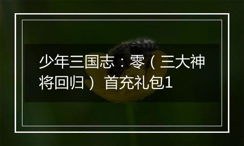 少年三国志：零（三大神将回归） 首充礼包1