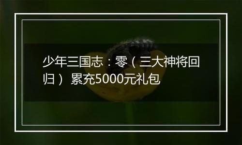 少年三国志：零（三大神将回归） 累充5000元礼包