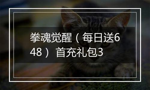 拳魂觉醒(每日送648) 首充礼包3