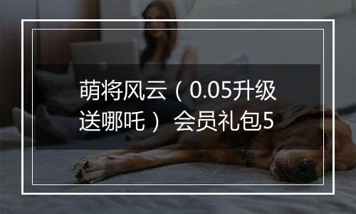 萌将风云（0.05升级送哪吒） 会员礼包5