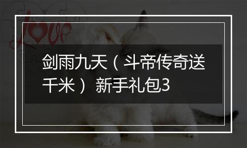 剑雨九天（斗帝传奇送千米） 新手礼包3