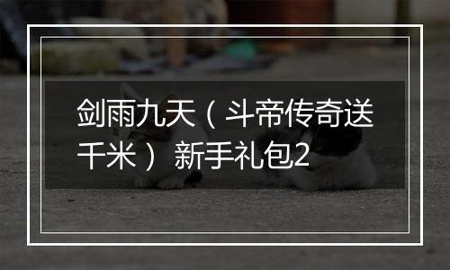 剑雨九天（斗帝传奇送千米） 新手礼包2