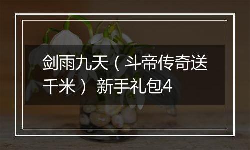 剑雨九天（斗帝传奇送千米） 新手礼包4