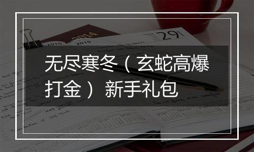 无尽寒冬（玄蛇高爆打金） 新手礼包