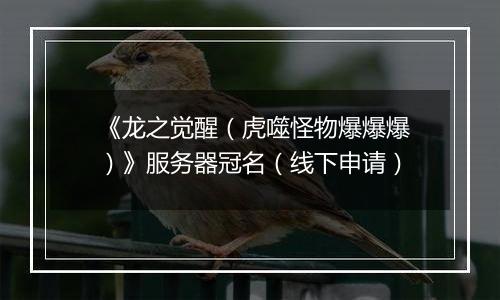 《龙之觉醒（虎噬怪物爆爆爆）》服务器冠名（线下申请）