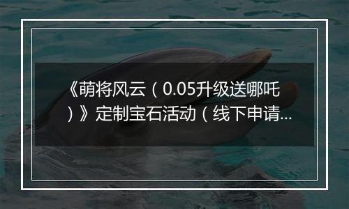 《萌将风云（0.05升级送哪吒）》定制宝石活动（线下申请）