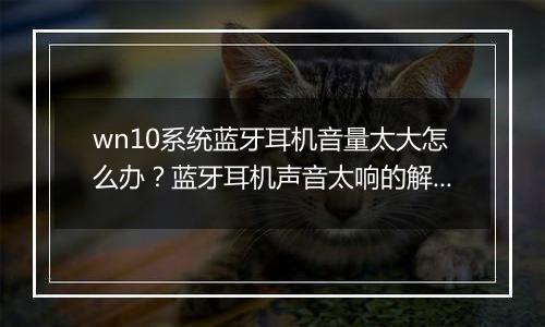 wn10系统蓝牙耳机音量太大怎么办？蓝牙耳机声音太响的解决方法