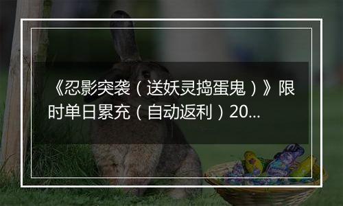 《忍影突袭（送妖灵捣蛋鬼）》限时单日累充（自动返利）2025-11-21-2025-11-27