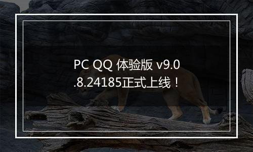 PC QQ 体验版 v9.0.8.24185正式上线！