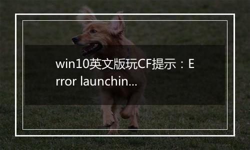 win10英文版玩CF提示：Error launching installer 该怎么办？（已解决）
