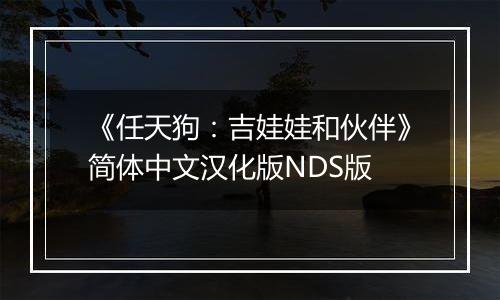 《任天狗：吉娃娃和伙伴》简体中文汉化版NDS版