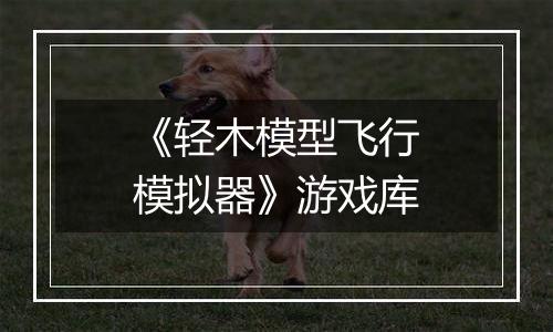 《轻木模型飞行模拟器》游戏库